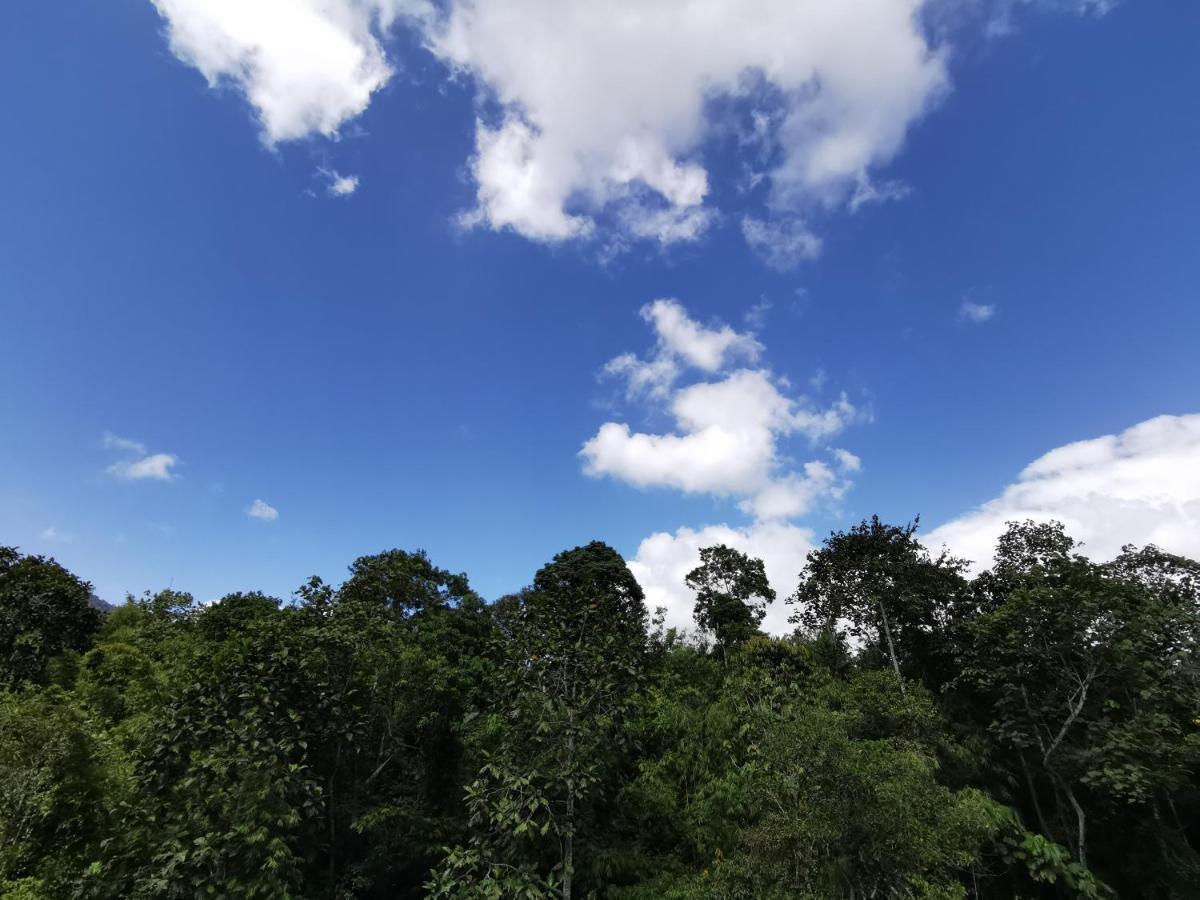 Selesa Hillhomes 1 At Bukit Tinggi Bentong Eksteriør billede